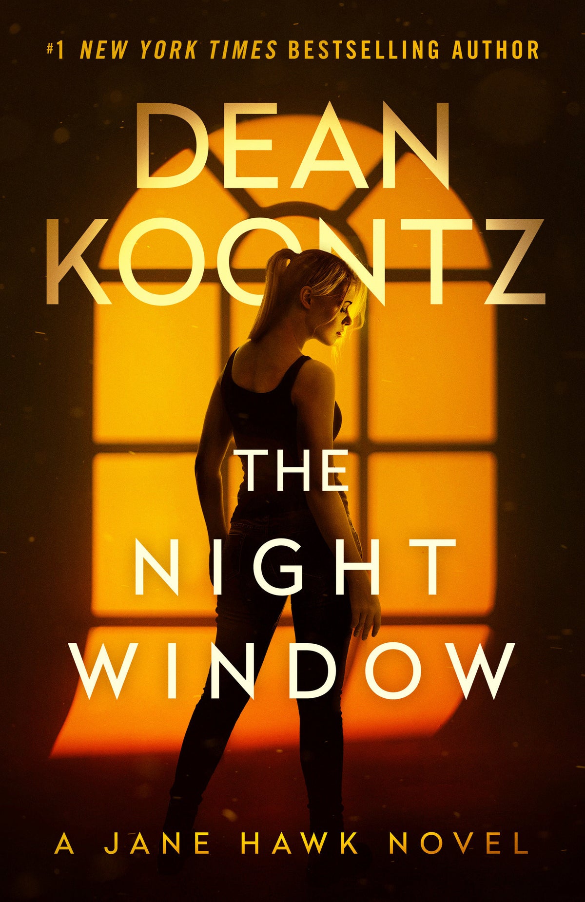 The Night Window cover (ISBN 9798217299607) [onix:648f12860dbd381408a04474bfa8527e]