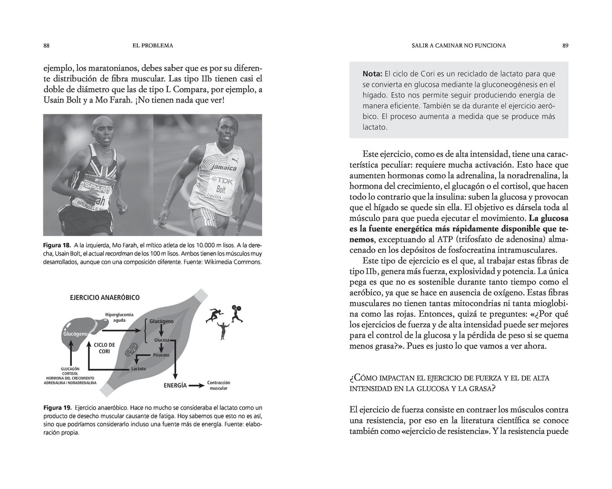 Maldito azúcar / Damn Sugar interior 4 (ISBN 9788425369117) [onix:90d3b8b187dc424690a0a50890810372]