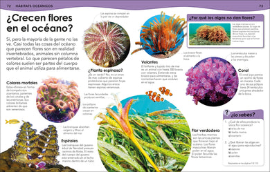 ¿Sabías qué? Océanos (Did You Know? Ocean) interior 4 (ISBN 9798217129737) [onix:3a774b9ff4eefc66108f45394450061a]