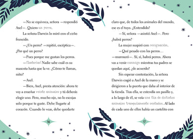 El gato número 13 / Cat Number 13 interior 2 (ISBN 9788419366009) [onix:97aa8a0248a7a602f512428a965cdc8f]