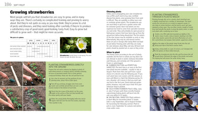 Grow Fruit interior 3 (ISBN 9780241239117) [onix-asset:346cc60bb2999f2642d153f17635e40e8fe38bd372139a40fa14cac0315dce04]