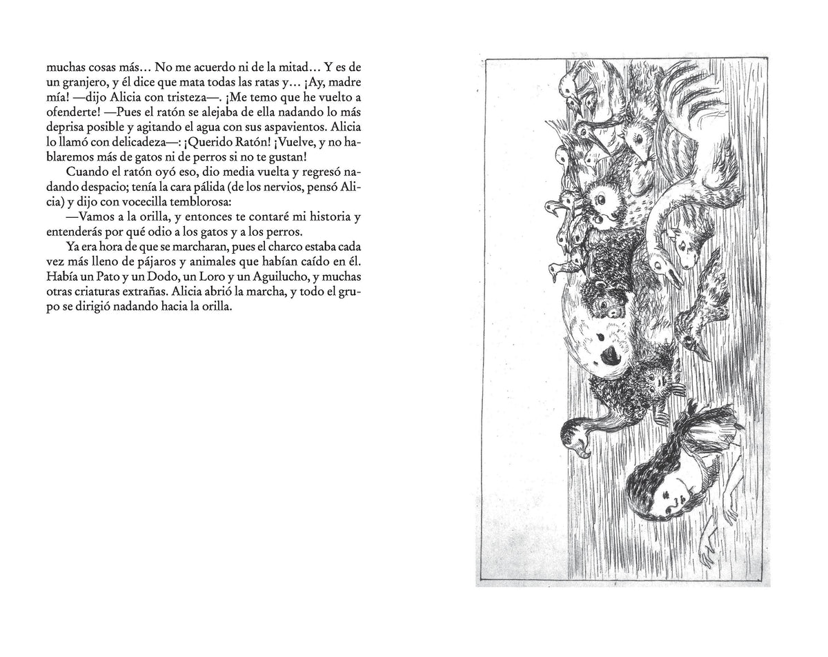 Alicia en el país de las maravillas (edición especial en tapa dura) / Alice in Wonderland (Limited Hardcover Edition) interior 4 (ISBN 9788491057772) [onix:414c181464d37d0cbed7b4360a80cae1]