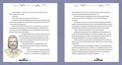 Jules Verne. Las grandes novelas / Jules Verne: The Great Novels interior 3 (ISBN 9788427239722) [onix:c75e95d94608edc052495b5597c56795]