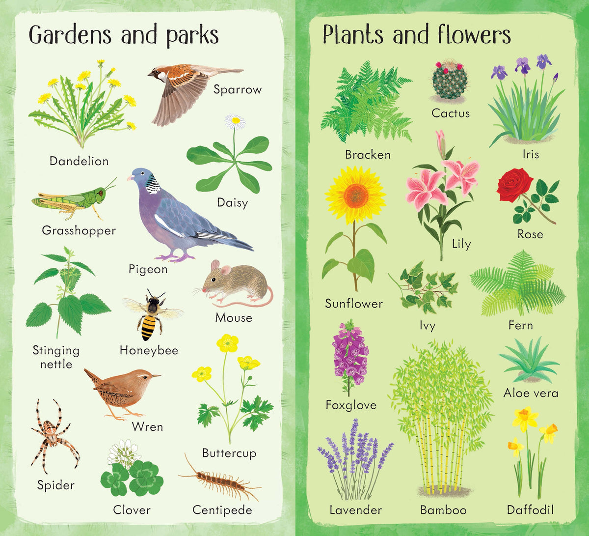 199 Things in Nature interior 1 (ISBN 9781474941037) [onix-asset:2cac0bfd7fbe0dd4625f63caa460efe0cf314d132d7df6771b71080849fbe8eb]