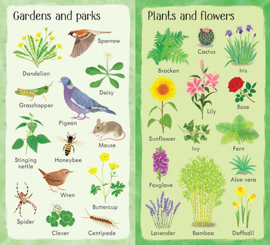 199 Things in Nature interior 1 (ISBN 9781474941037) [onix-asset:2cac0bfd7fbe0dd4625f63caa460efe0cf314d132d7df6771b71080849fbe8eb]