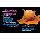 NGK: Bet You Didn't Know! 2 (Hardback) National Geographic