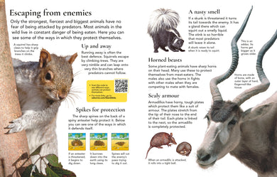 First Encyclopedia of Animals interior 1 (ISBN 9781836041641) [onix-asset:134b522568f17504f8cd77ff2f26ce9e54f94167a60adbfa9f1864dd7bd8813b]