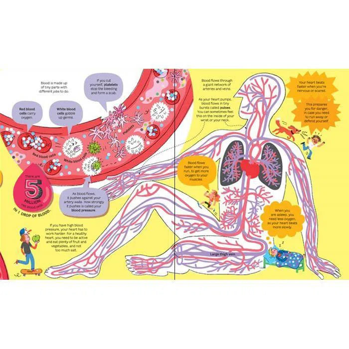 Big book of the body Usborne