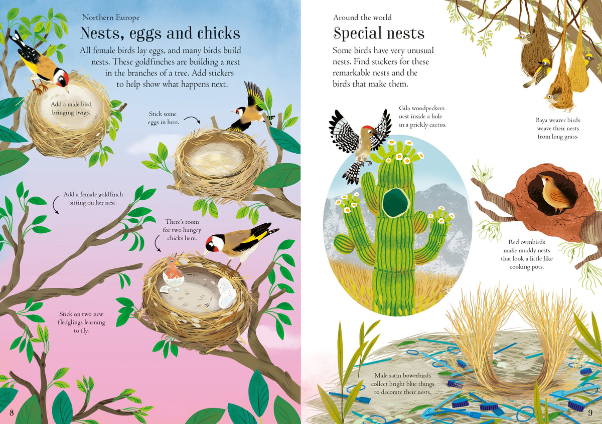 Little First Stickers Birds interior 1 (ISBN 9781805312352) [onix-asset:05c391e0869bcf5645d64317c9628683e43903007a42010409045a1f67ab8256]