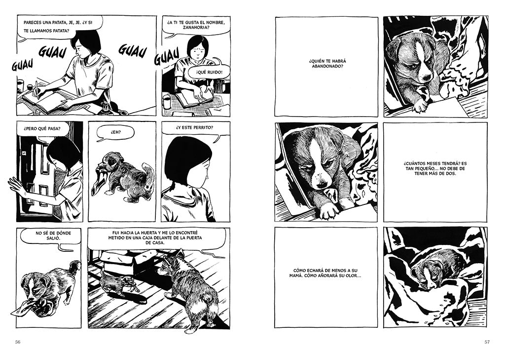 Perros / Dog Days interior 2 (ISBN 9788419437778) [onix:0dc7d5b3190686e11e2b2f7aeb1d295b]