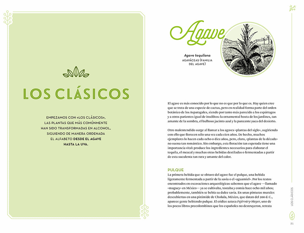 Botánica para cócteles. Las plantas que han dado origen a las mejores bebidas del mundo / The Drunken Botanist interior 1 (ISBN 9788419851833) [onix:42023e1a1734e0f7a14ada49fb1a2efd]