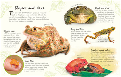 An Anthology of Frogs and Toads interior 1 (ISBN 9780241836163) [onix-asset:d21d0159a966f8f49840d4de56ca1445be70fa8281664a3e0a02930b55e20f49]