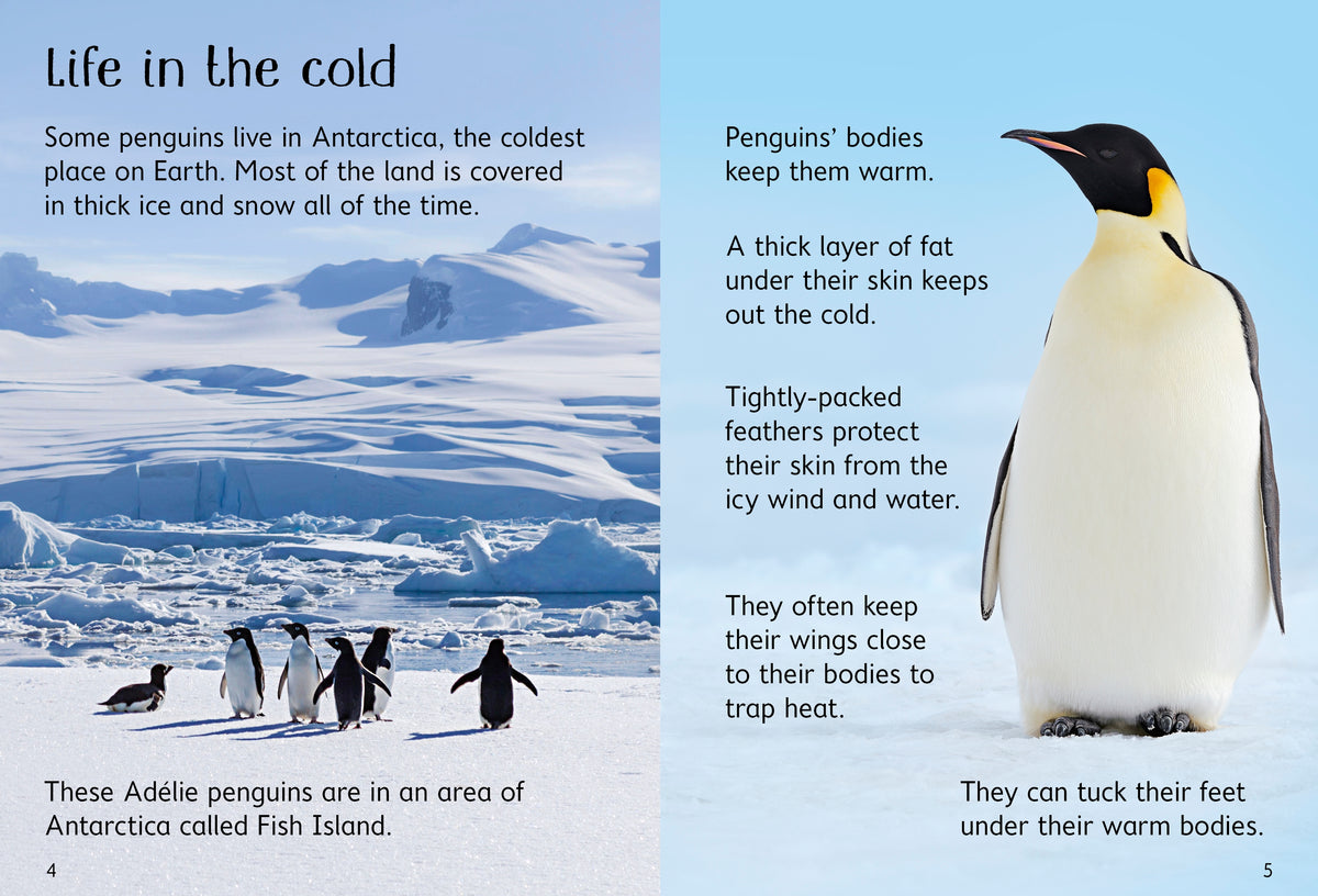 Penguins interior 1 (ISBN 9780746099667) [onix-asset:b98b83d14ac2960b5194a9824d2d7e80ba5b159114e7b5620644f5a4d86ed2f0]