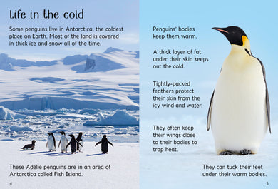 Penguins interior 1 (ISBN 9780746099667) [onix-asset:b98b83d14ac2960b5194a9824d2d7e80ba5b159114e7b5620644f5a4d86ed2f0]