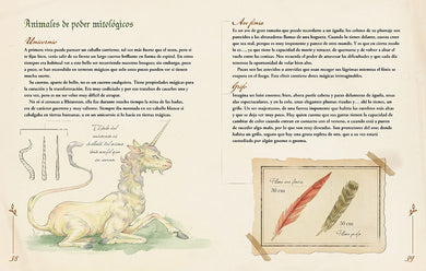 Magia. Tu cuaderno secreto / Magic. Your Secret Notebook interior 3 (ISBN 9788419982469) [onix:cf7e5d2a6684d18fa505094e8e4ff921]