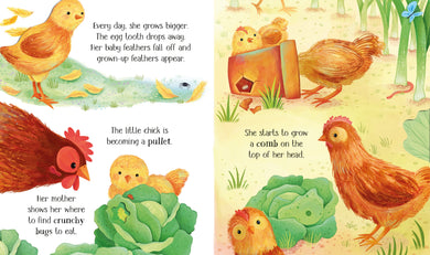 One Little Chick interior 1 (ISBN 9781805312253) [onix-asset:15f479a4499a6d02d1c4640c4d909c06b51d7bf120c8a1fbee14f19014612370]