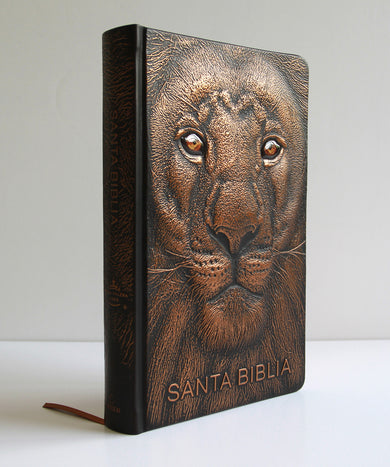 Biblia RVR 1960 Letra grande León de Judá edición especial bronce / Spanish Bible RVR 1960 Large Print Imitation Leather Lion of Judah Special Edition interior 1 (ISBN 9798890980076) [onix:6075c25fd9b45d77d12ea4ae92afee89]