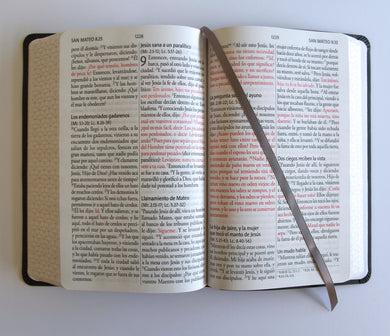 Biblia RVR 1960 Letra gigante, símil piel, gris (Edición cantos pintados) / Spanish Bible RVR 1960 Giant Print Handy Size Leathersoft Gray with cross interior 6 (ISBN 9798890982216) [onix:be5b6b681a655a6aa97a875d3c2e5662]