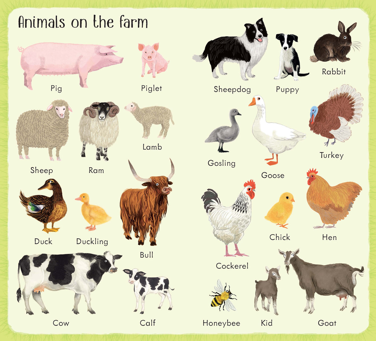 199 Things on the Farm interior 1 (ISBN 9781474936910) [onix-asset:ceb232695ae59309a60fa29b2568c13d6c2ce38bacbb847e7820772b7c374289]
