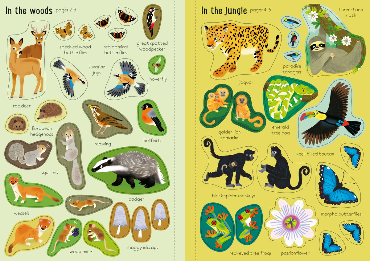 Little First Stickers Nature interior 1 (ISBN 9781805071143) [onix-asset:f6dcbabcadbd48484c717a529ec2fe04733805663dce4ad2d416f05c14977fc3]