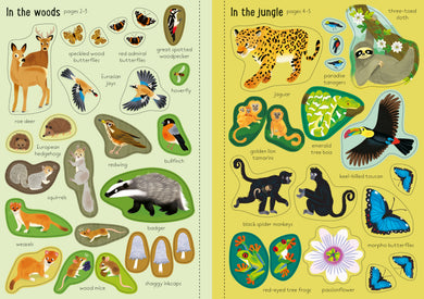Little First Stickers Nature interior 1 (ISBN 9781805071143) [onix-asset:f6dcbabcadbd48484c717a529ec2fe04733805663dce4ad2d416f05c14977fc3]