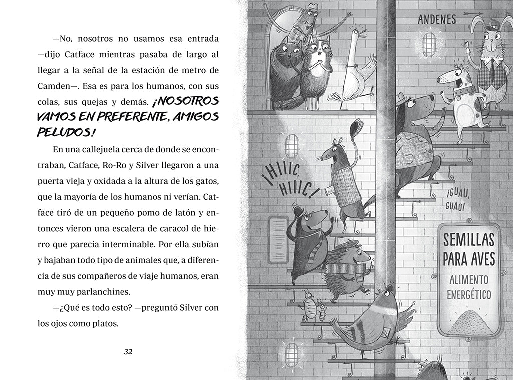 La fuga de la cobra real / Toto the Ninja Cat and the Great Snake Escape interior 1 (ISBN 9788427234666) [onix:c514322d803ad1c09df78cc5a26513e3]