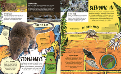 Wildlife Cities interior 1 (ISBN 9780241835371) [onix-asset:8a855094075b44c73d09858218c995034dc9ce17dd961a42d6c2d5cf6024dcb0]