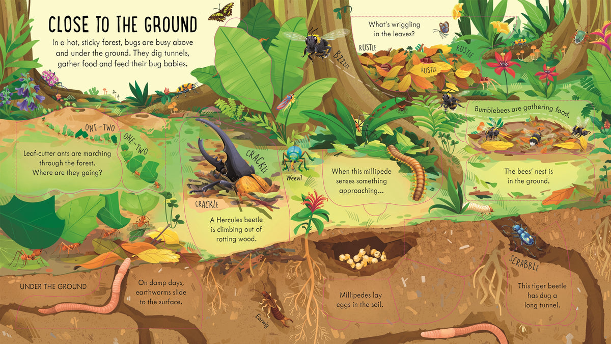 Look Inside Bug World interior 1 (ISBN 9781805074076) [onix-asset:88cbba48c45cd46a8b6574cadc8f8919f6f891b2d82de953ff12593c3f526f1c]