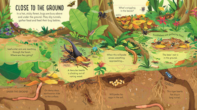 Look Inside Bug World interior 1 (ISBN 9781805074076) [onix-asset:88cbba48c45cd46a8b6574cadc8f8919f6f891b2d82de953ff12593c3f526f1c]