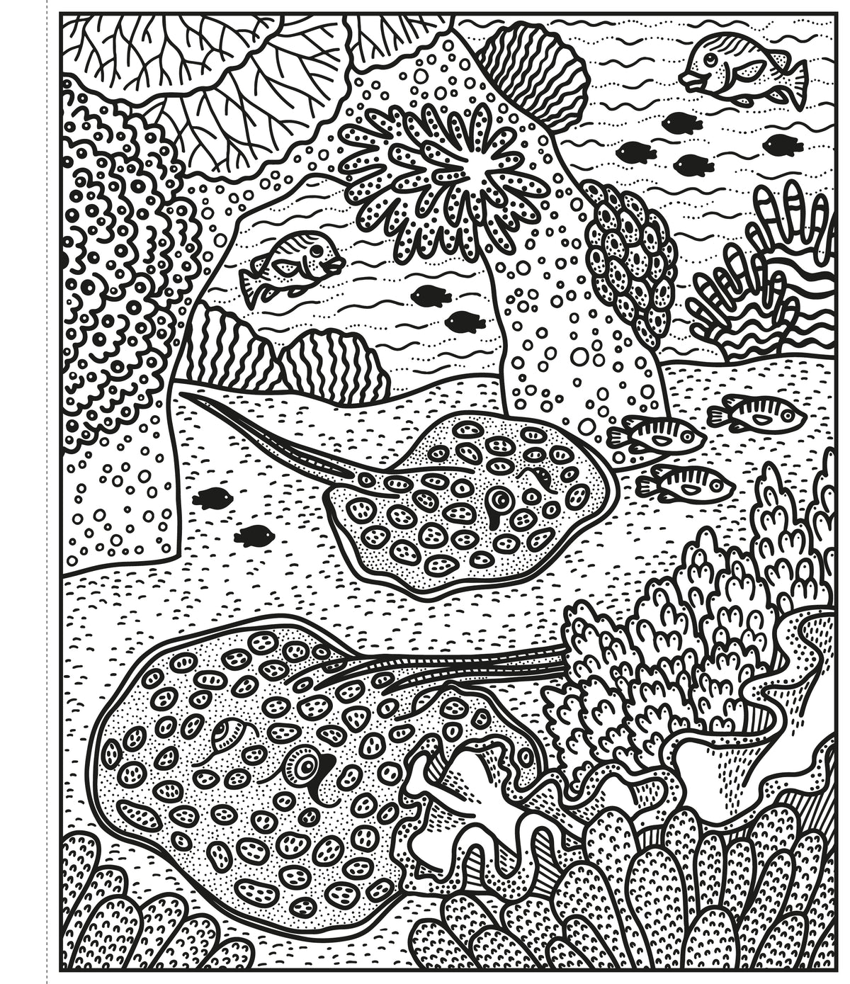 Coral Reef Magic Painting Book interior 1 (ISBN 9781474994743) [onix-asset:ba8fb6646c2f639b8473630ad4c93149cd64df50f10f4cb8f5a0bd8eefc5324c]
