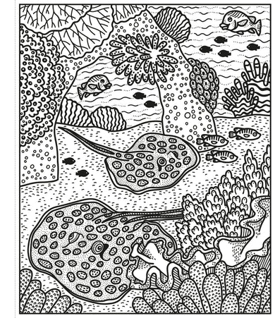 Coral Reef Magic Painting Book interior 1 (ISBN 9781474994743) [onix-asset:ba8fb6646c2f639b8473630ad4c93149cd64df50f10f4cb8f5a0bd8eefc5324c]