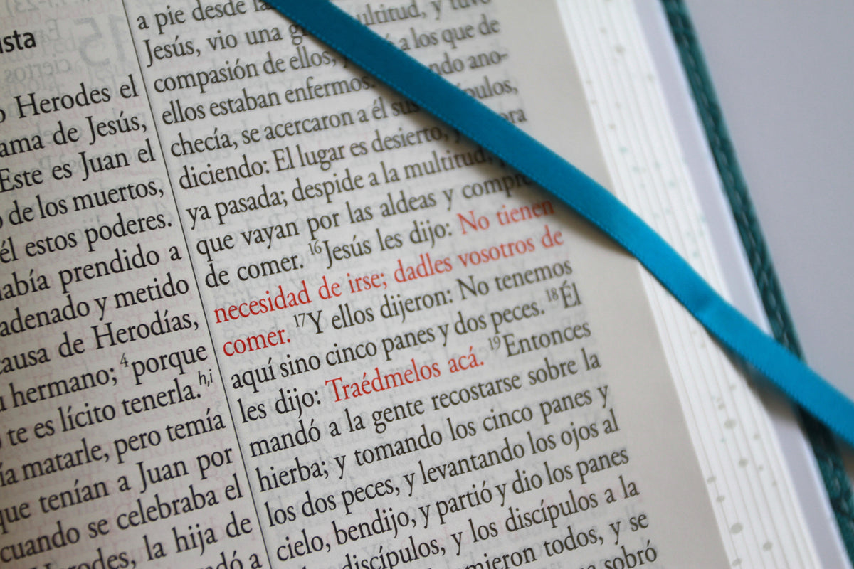 Biblia RVR 1960 Letra gigante, símil azul con Pájaros(Edición cantos pintados) / Spanish Bible RVR 1960 Giant Print Handy Size Leathersoft Light Blue interior 8 (ISBN 9798890982261) [onix:6135e456eaaddd0a70477f339090db9b]