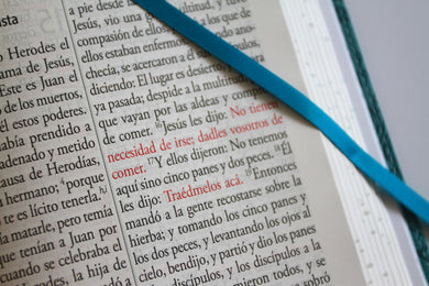 Biblia RVR 1960 Letra gigante, símil azul con Pájaros(Edición cantos pintados) / Spanish Bible RVR 1960 Giant Print Handy Size Leathersoft Light Blue interior 8 (ISBN 9798890982261) [onix:6135e456eaaddd0a70477f339090db9b]