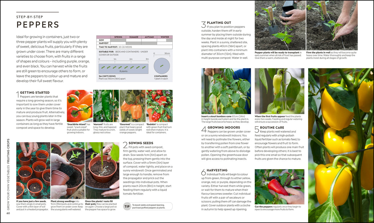 RHS Step-by-Step Veg Patch interior 3 (ISBN 9780241412411) [onix-asset:668471bf564f04baf43f68bc7a06a5defa4abc1a4a0cd8290b4113e748fca007]