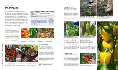 RHS Step-by-Step Veg Patch interior 3 (ISBN 9780241412411) [onix-asset:668471bf564f04baf43f68bc7a06a5defa4abc1a4a0cd8290b4113e748fca007]