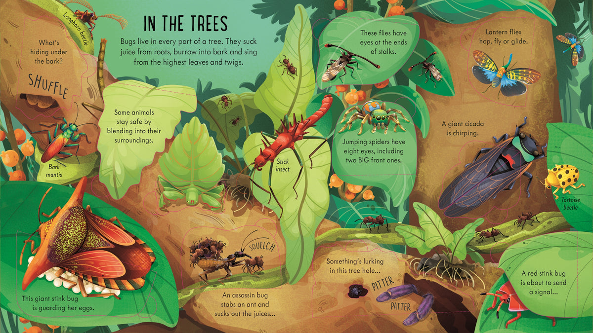 Look Inside Bug World interior 1 (ISBN 9781805074076) [onix-asset:8e841c3a7a02497f5c798b970d49ae2da9bd10a72470d22b6bb95b86080cf088]