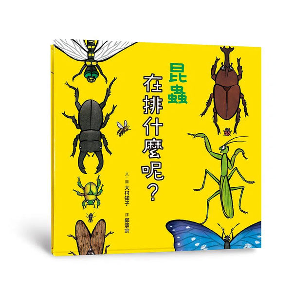 昆蟲在排什麼呢？-非故事: 動物植物 Animal & Plant-買書書 BuyBookBook