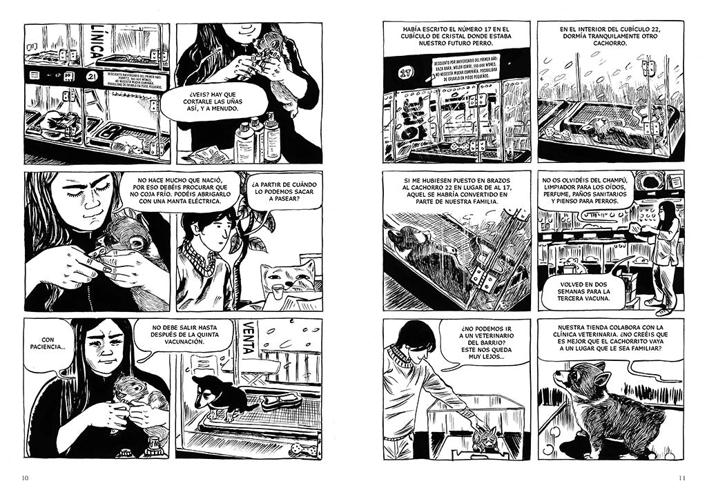 Perros / Dog Days interior 1 (ISBN 9788419437778) [onix:955fabb2b7860d64bc5299b52f75e898]