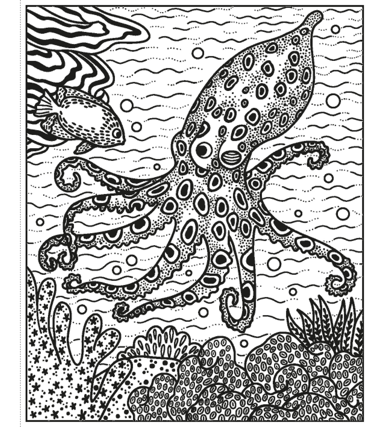 Coral Reef Magic Painting Book interior 1 (ISBN 9781474994743) [onix-asset:5bfadcce56584cf9f95fc03f22e5e60eed82ebc4427a2d72d34bc8ce5351f92a]