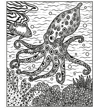 Coral Reef Magic Painting Book interior 1 (ISBN 9781474994743) [onix-asset:5bfadcce56584cf9f95fc03f22e5e60eed82ebc4427a2d72d34bc8ce5351f92a]