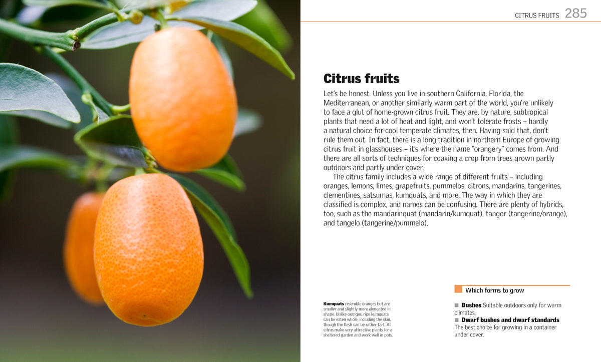 Grow Fruit interior 4 (ISBN 9780241239117) [onix-asset:28a56305790f063f5304fed8b0aeebaf62a8b620287e0375a3c8d78a7a5c74fd]