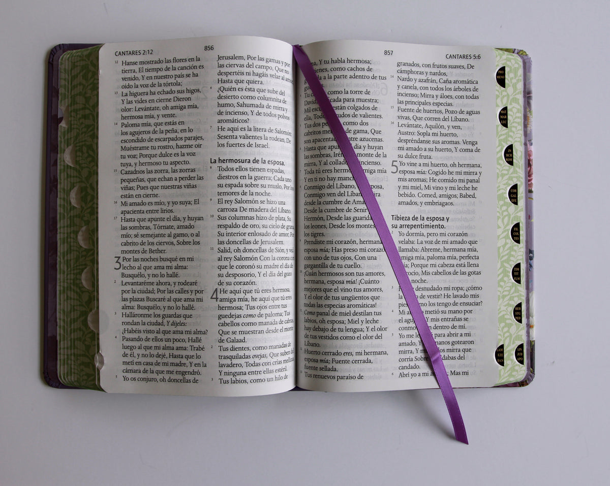 Biblia Reina Valera letra gigante, tapa dura, flores moradas, con cantos pintados e índice / Spanish Bible Reina Valera Giant Print, Hardcover Purple Flowers interior 5 (ISBN 9798890985637) [onix:8a725cce703ebac642afe5ba66ba306c]