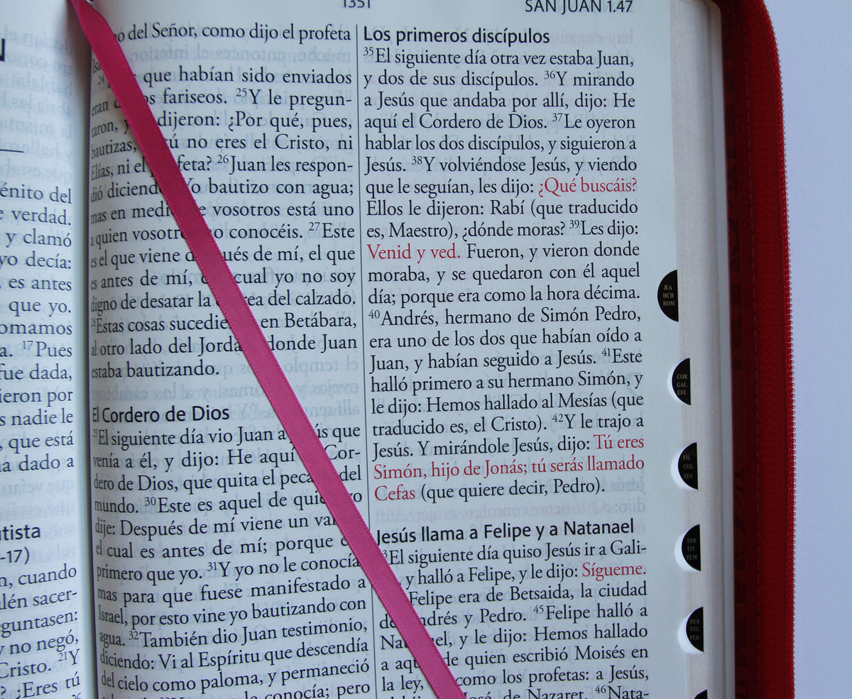Biblia Reina Valera Revisada 1960 letra súper gigante, símil piel fucsia rosada, cremallera e índice / Spanish Bible RVR 1960 Super Giant Print, Fuchsia Pink interior 8 (ISBN 9798890985712) [onix:32456cc985dccae1ea9a4eea158134f2]