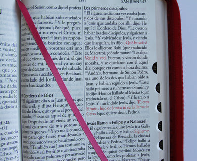 Biblia Reina Valera Revisada 1960 letra súper gigante, símil piel fucsia rosada, cremallera e índice / Spanish Bible RVR 1960 Super Giant Print, Fuchsia Pink interior 8 (ISBN 9798890985712) [onix:32456cc985dccae1ea9a4eea158134f2]