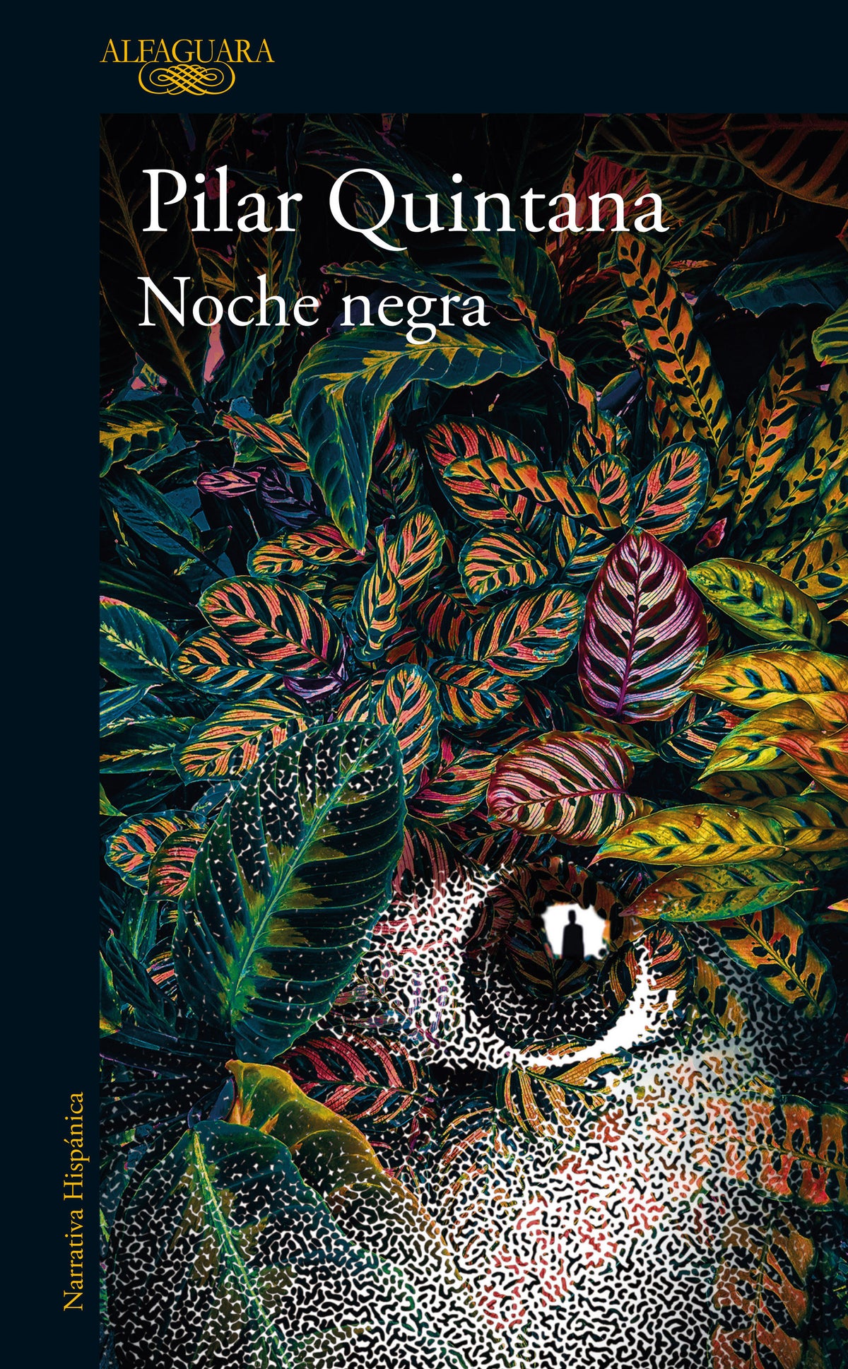Noche negra / Dark Night cover (ISBN 9798890985262) [onix:4faf1447b8e409f42ffcfc26b942de3c]