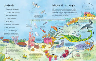 See Under the Sea interior 1 (ISBN 9780746096383) [onix-asset:6d131fb54cf5e37361f3a6cee294bbcb932e5a6ea3aab42141c132b12033be43]