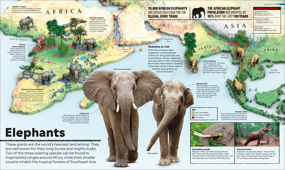 What's Where on Earth? Animal Atlas interior 2 (ISBN 9780241412909) [onix-asset:33b12b0bc813957c05bec95da6793ff39dfbac256773772c902e146fff19d1b7]