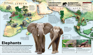 What's Where on Earth? Animal Atlas interior 2 (ISBN 9780241412909) [onix-asset:33b12b0bc813957c05bec95da6793ff39dfbac256773772c902e146fff19d1b7]