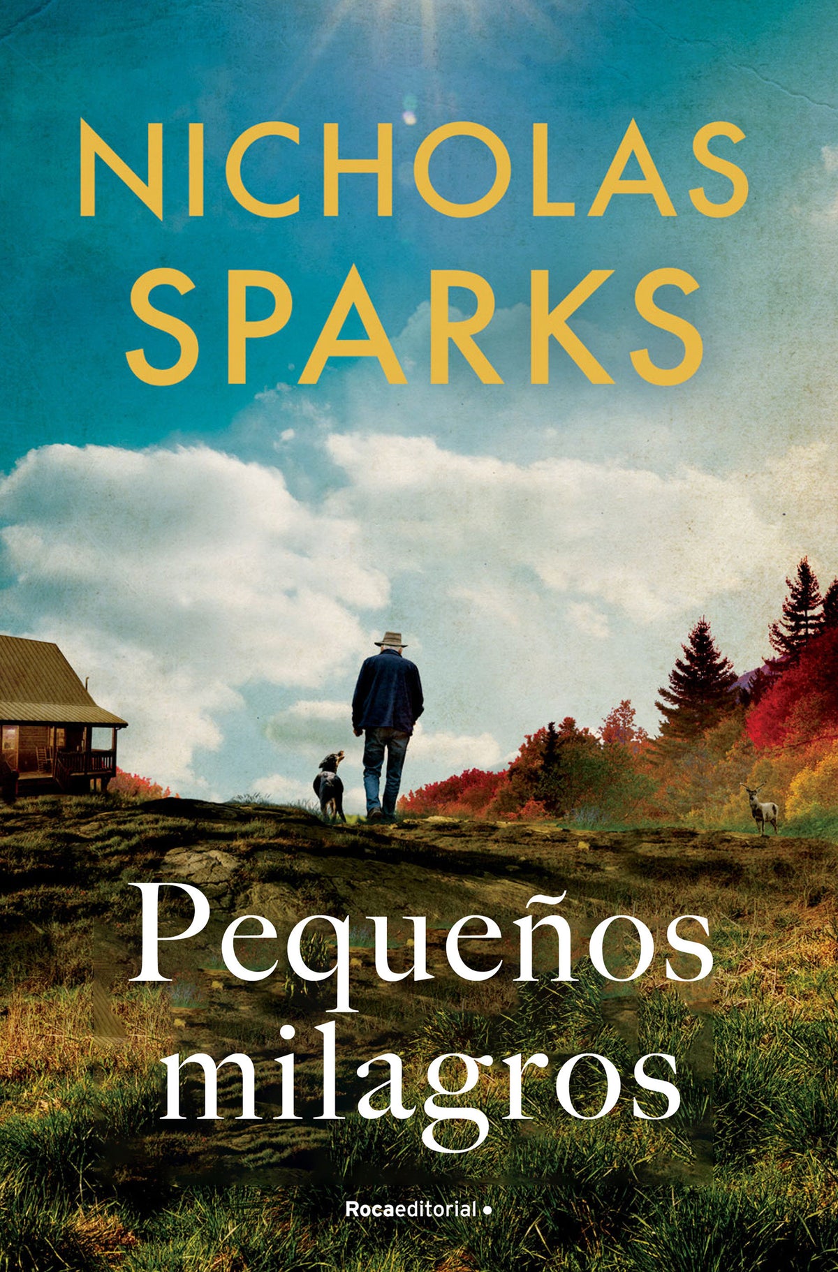 Pequeños milagros / Counting Miracles cover (ISBN 9786073848800) [onix:295852ad5fc31edbea11bf380ef65c8b]