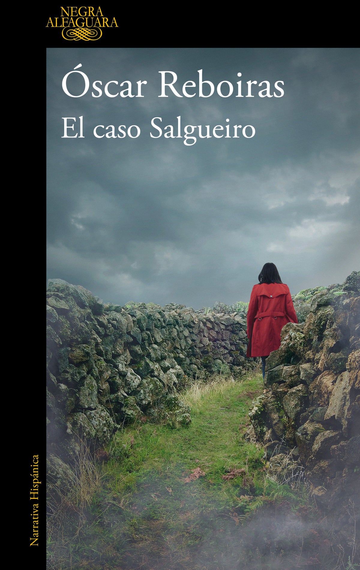 El caso Salgueiro / The Salgueiro Case cover (ISBN 9788420477183) [onix:550acca4b2099f0a64c382b27c1482d3]